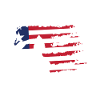 Liberia soldier salutes patriot