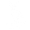 Fox poly