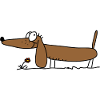 Dachshund funny