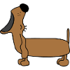 Dachshund singer