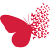 butterfly_01