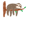 Sloth tree branch trunk