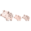 Schweine Familie