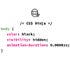 CSS Ninja