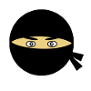 Ninja head