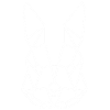 Bunny rabbit poly