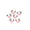 Vaches