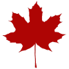maple leaf
