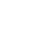 Cat in the moonlight