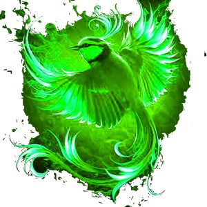 FCH Firebirds ohne Schriftzug (Druck einseitig)