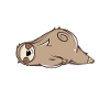 Sleeping sloth