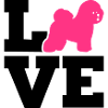 Bichon Frise
