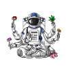 Psychonaut Psychedelic Astronaut Meditation