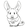 Bat