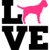 Border Terrier