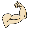 biceps