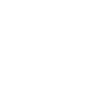 Afghan hound