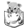 Koala pochette