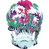 Skull nature