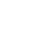 Schornsteinfeger