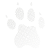 Guépard Cheetah Footprint Empreinte