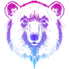 Bear (drawing, colourful)