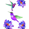 Hummingbirds flying among the flowers