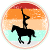 Vaulting Horse