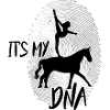Vaulting horse