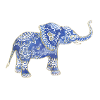 Indian elephant