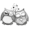 Owl couple in love