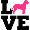 Lagotto Romagnolo