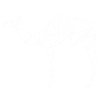 Camel polyart