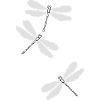 Dragonflies beu5