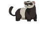Ferret Frettchen