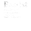 Bassist