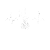 Double bass heartbeat