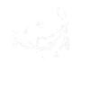 Dogo Argentino