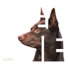 Kelpie I