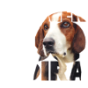 Finnischer Jagdhund I
