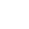 Camper Van
