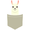 Alpaca In A Pocket