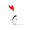 Penguin with love balloon