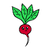 radish