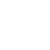 Schlawiner Spruch Tshirt Geschenk