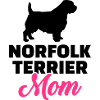 Norfolk Terrier