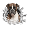 Boxer im Glas Loch