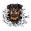 Rottweiler im Glas Loch
