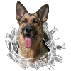 Schäferhund im Glas Loch