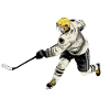 Eishockey